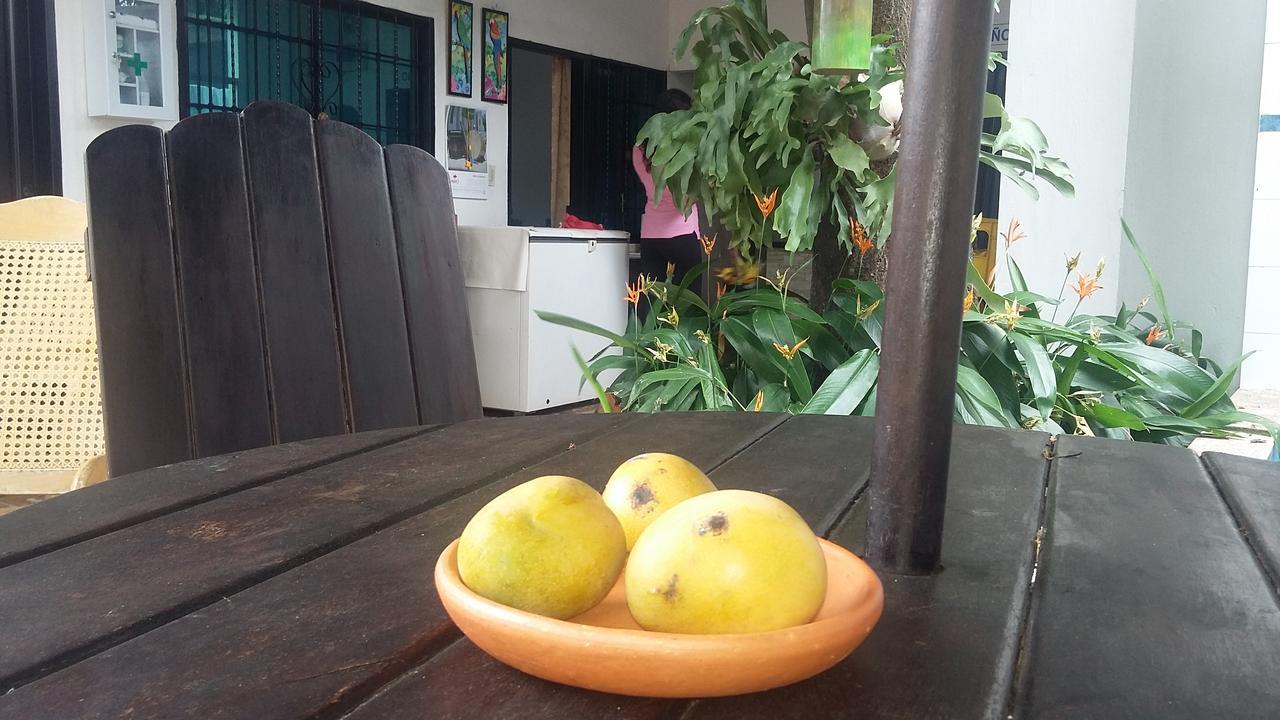 Hotel La Vieja Sara 巴耶杜帕尔 外观 照片